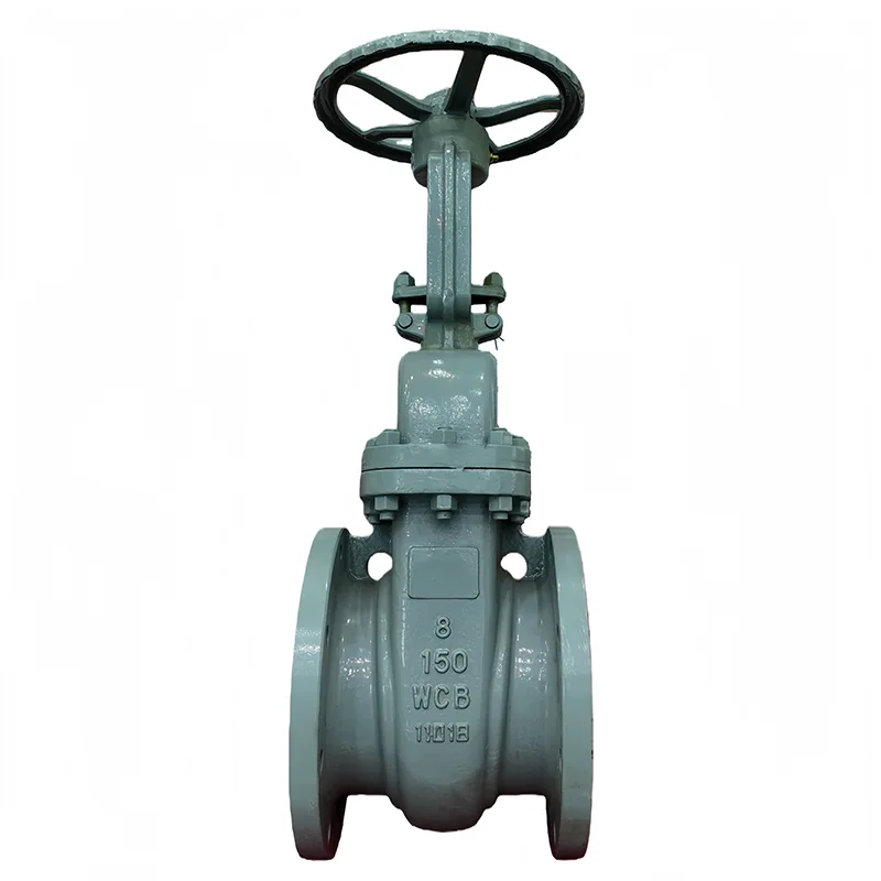කාබන් වානේ ANSI Flange Gate Valve