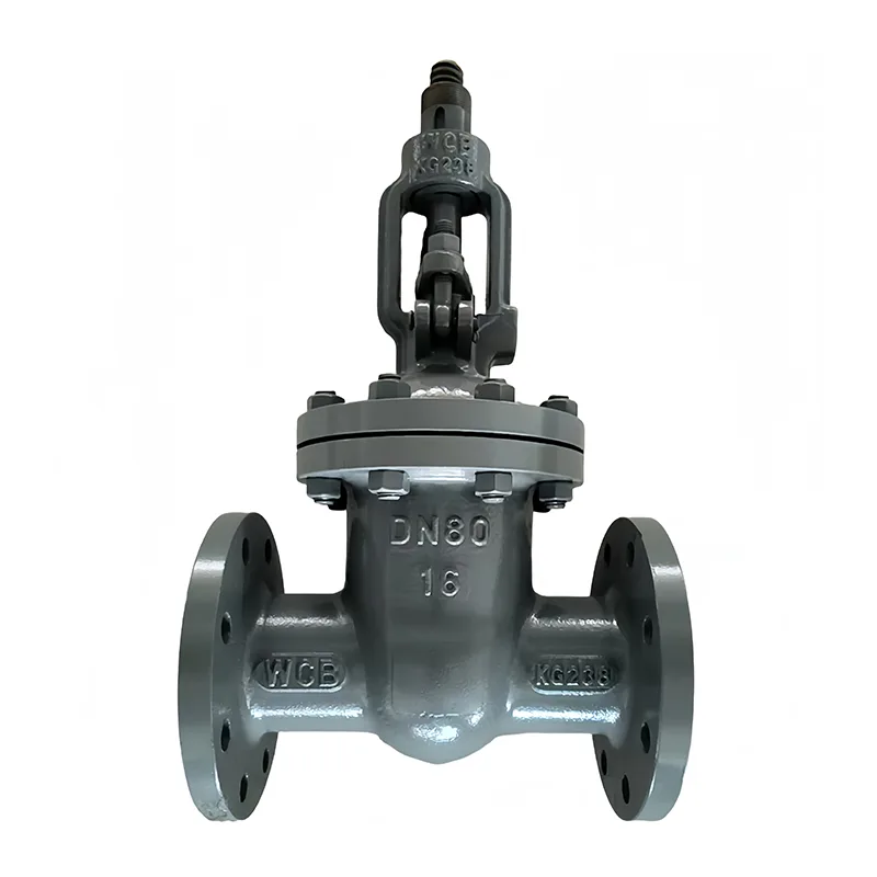 කාබන් වානේ Flange Gate Valve
