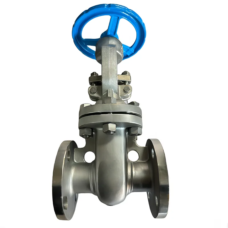 මල නොබැඳෙන වානේ API Flanged Gate Valve